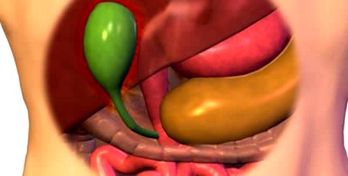 Почему желчь попадает в желудок лечение